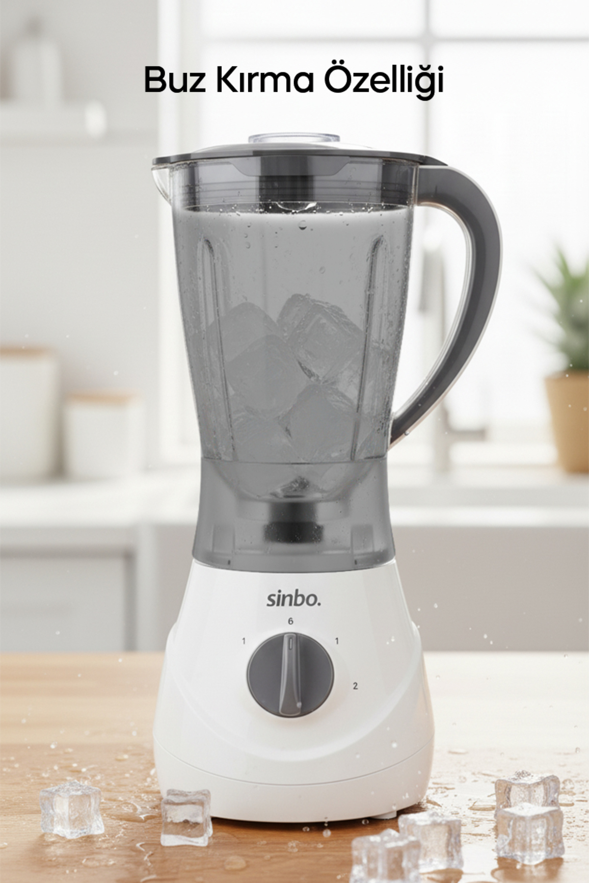 SHB-3062 Turbo Sürahi Blender - Görsel 3