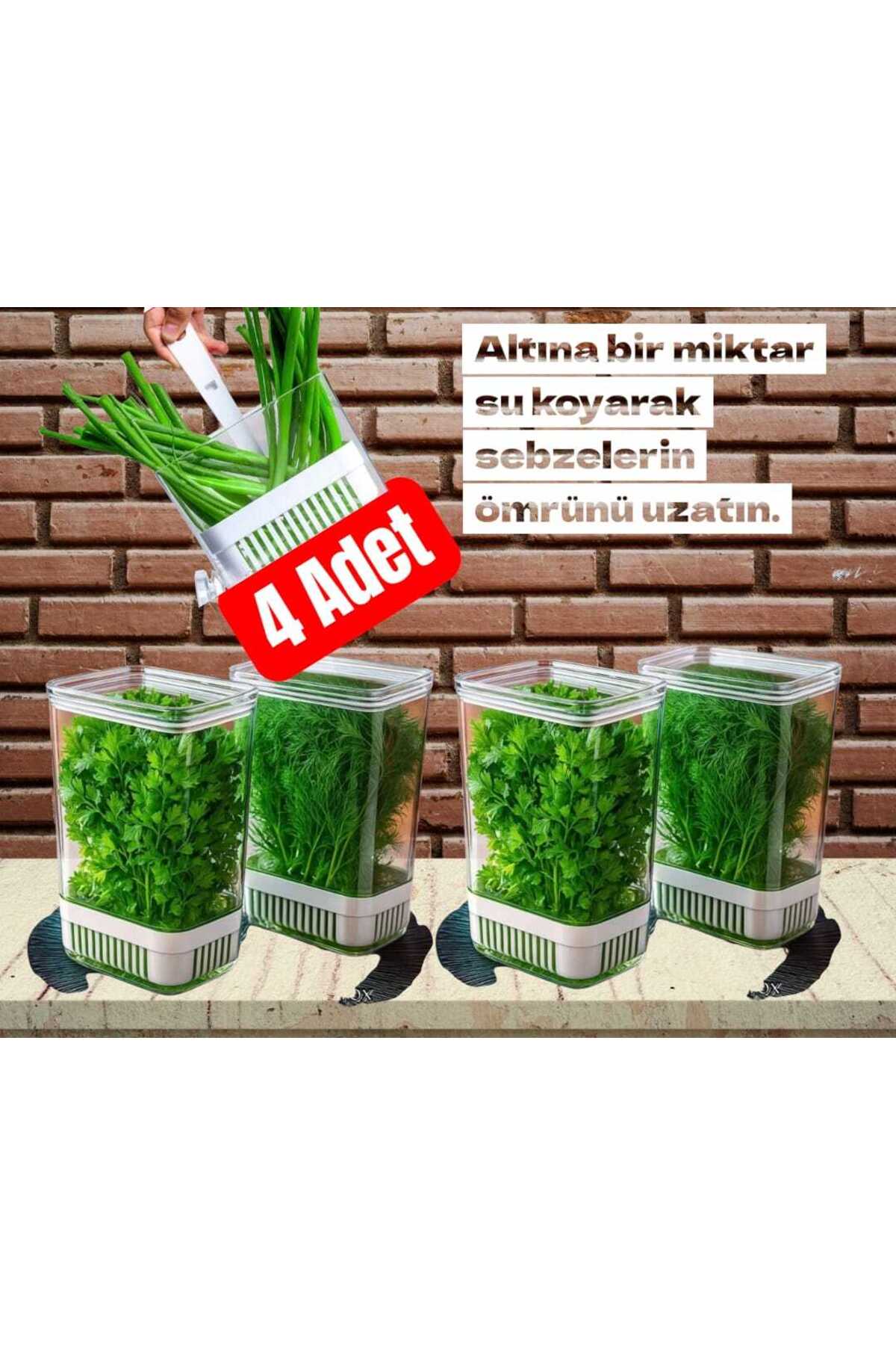 Yeşillik Saklama Kabı 4 Ad 2900ML Maydonoz,dereotu,tere Roka Yeşillik Sebze Kabı